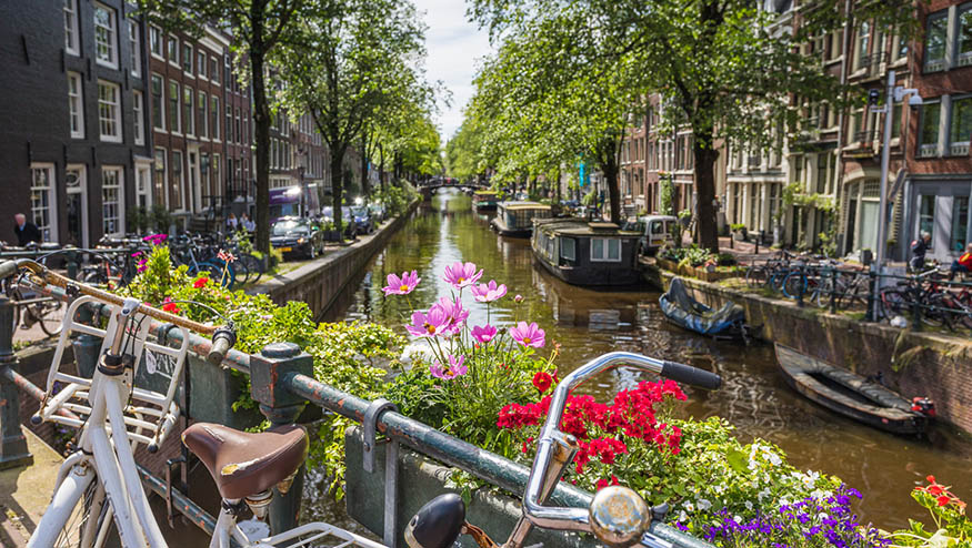 beauty photo of amsterdam