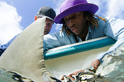 Alumnus Thomas with Shark